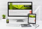 5 Web Design Trends in 2022