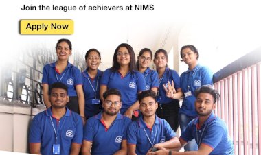 Explore diverse career options by pursuing a BBA degree